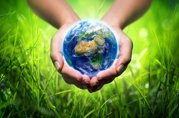 Vietnam targets eliminating substances harmful to ozone layer